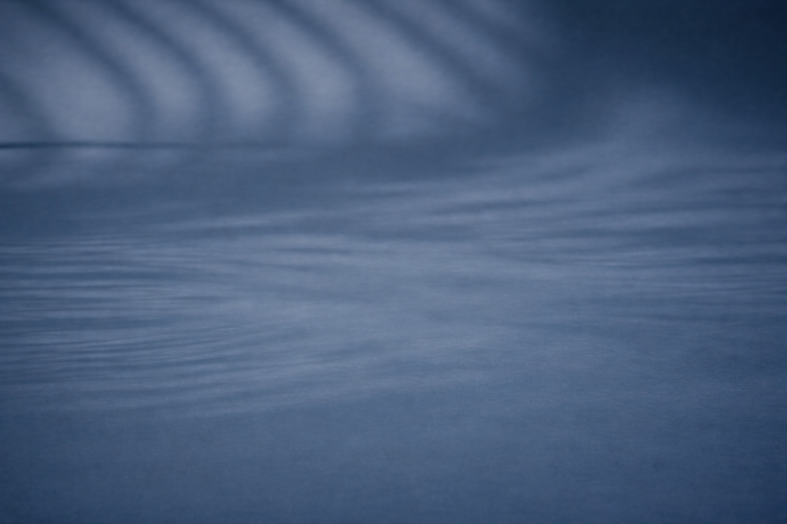 At Tranoo, we value every customer who chooses us.